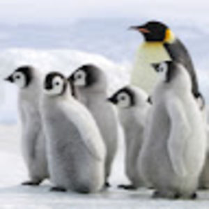 Meet your Posher, Leanne